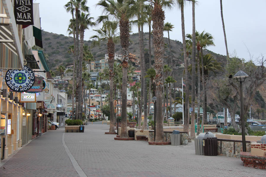 Saturday early morning walk on Avalon's main drag