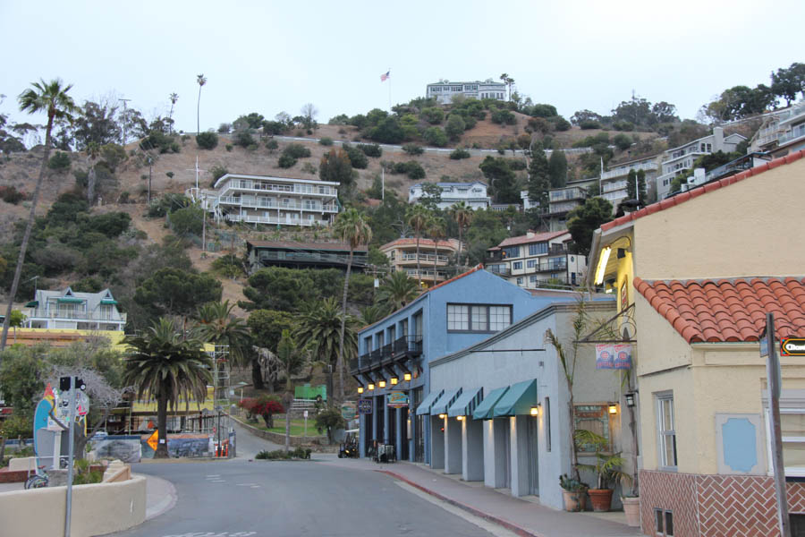 Saturday early morning walk on Avalon's main drag