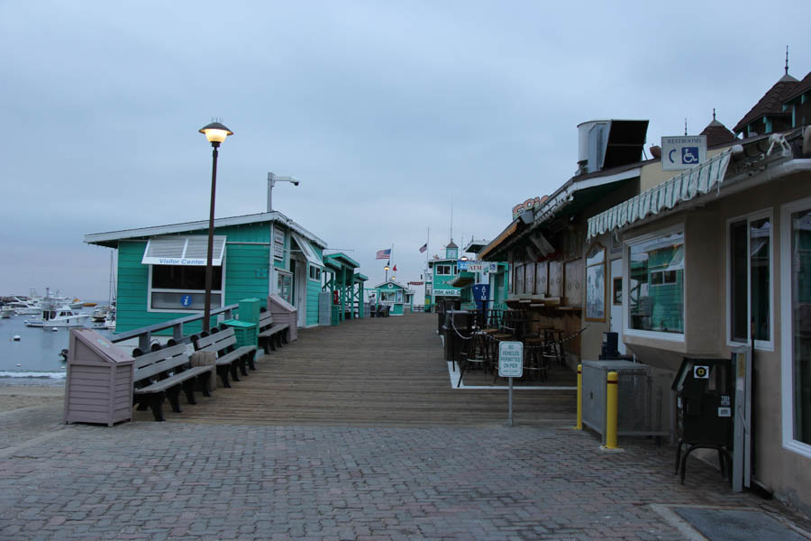 Saturday early morning walk on Avalon's main drag