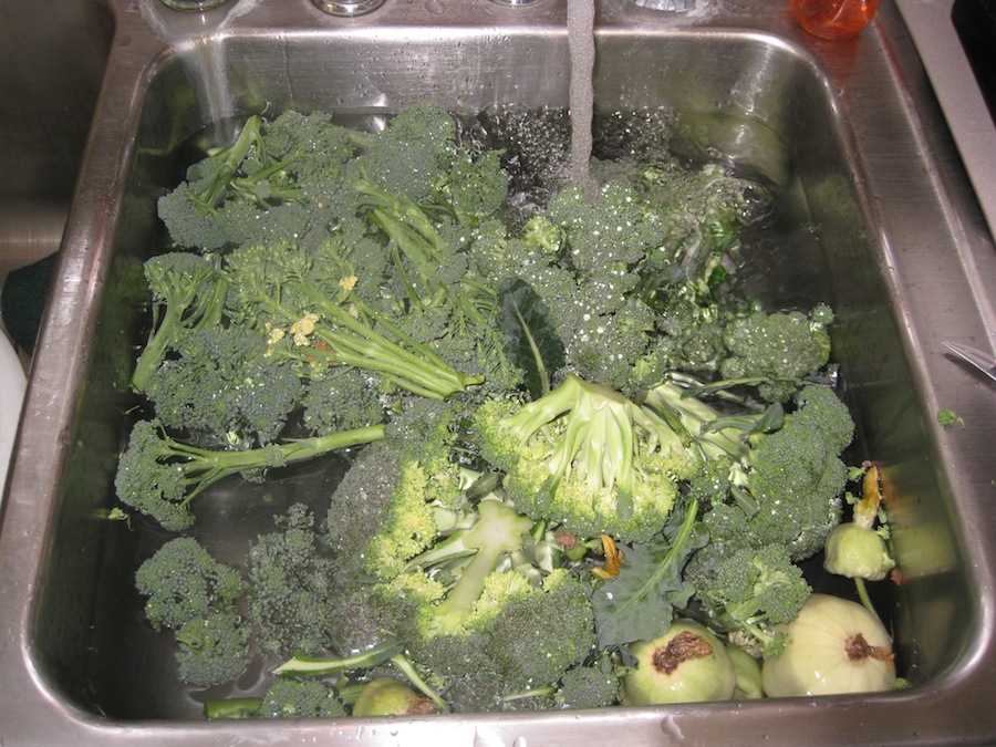 Cooking broccoli cheese soup from the garden