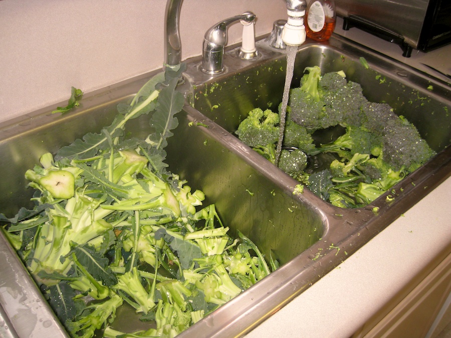 Cooking broccoli cheese soup from the garden