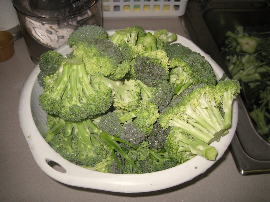 Cooking broccoli cheese soup from the garden