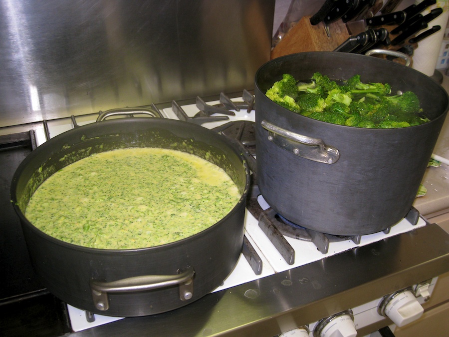 Cooking broccoli cheese soup from the garden