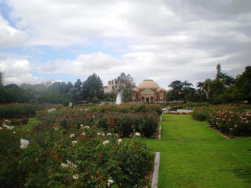 Rose Garden