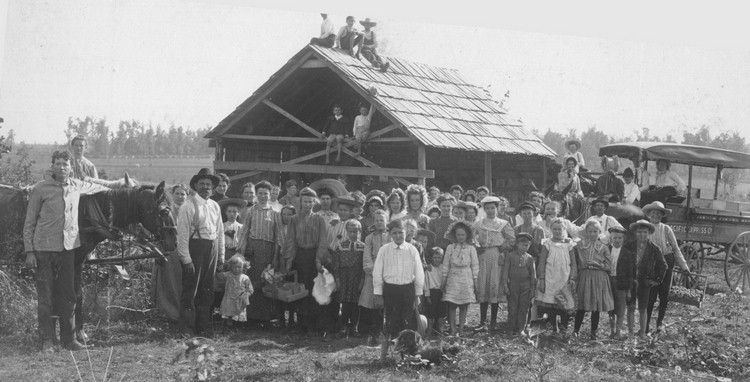 Strawberry picking