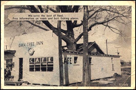 McRae Oak Tree In Circa 1940