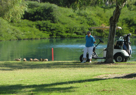 ducklady Sue and her duck family!