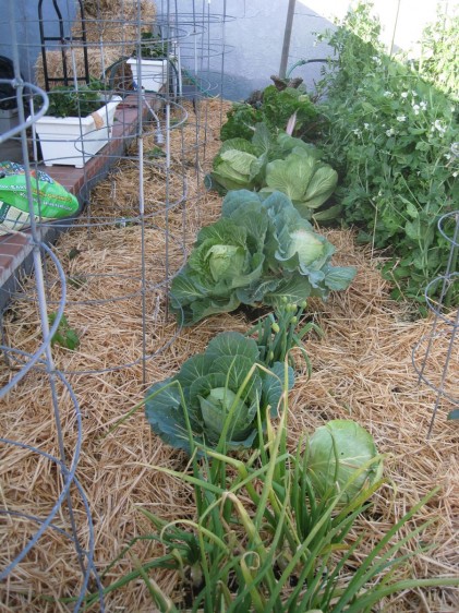 st_patricks_home-sweet-home-2011-010