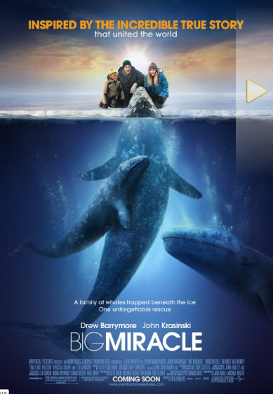 pix-whales