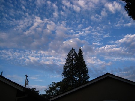 2012-08-17-porter-2