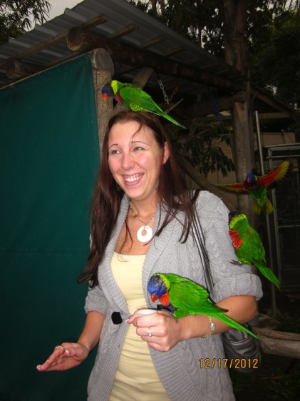 The Lorikeets sure liked Sarah!