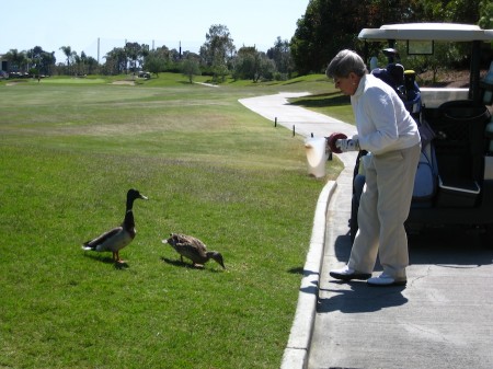 Sue feeds the babies