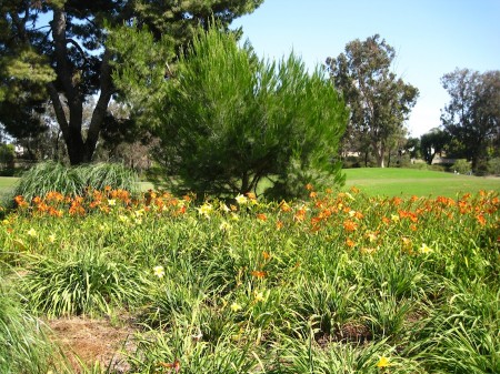 The flowers make playing golf beautiful