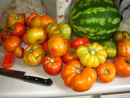 In tow hours these will be the best tomato sauce in the world