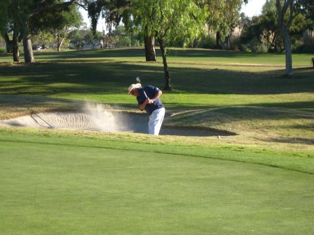 Heavy duty sand mover in action!