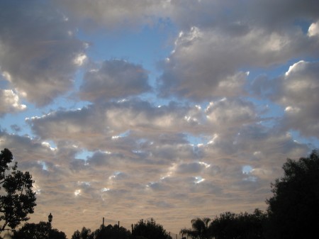 Magnificent sky