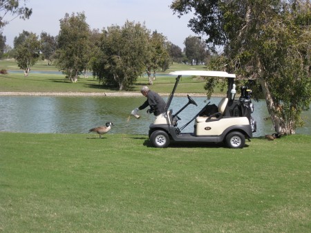 Sue carries on a conversation with her geese and then gives them a little snack!