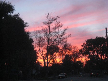 Beautiful sunset on the way home