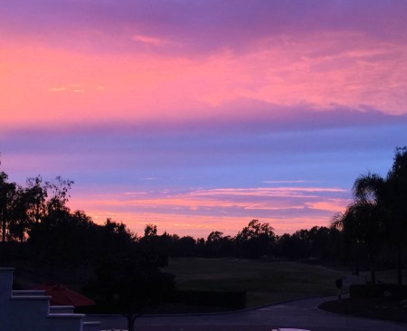 An amazing display of colors