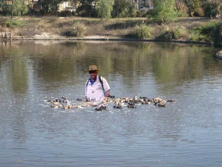 James decided to go over and see what the ducks were doing!