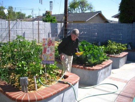 From farm to table has a new meaning!