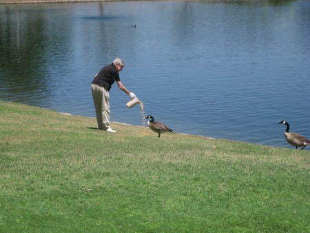 Lunch time on the lake