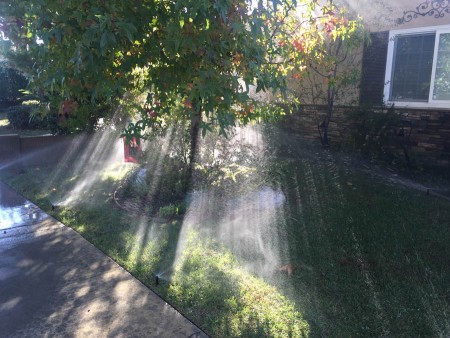 Rain!? No, watering the lawn!