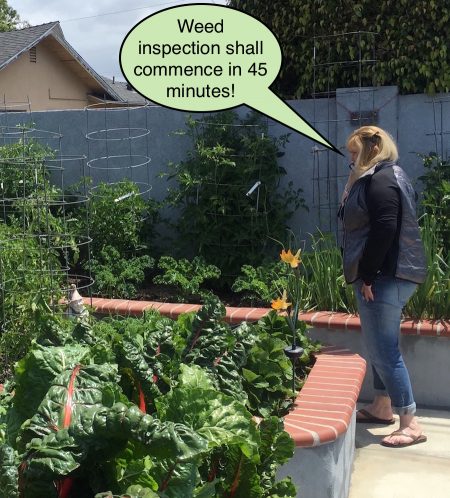 Weed inspection? Wow! She is a tough old broad!