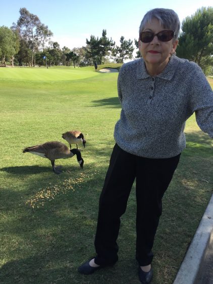 No kidding... These geese knew Sue.... They came right up to her and honked!