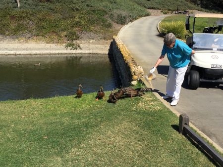 Grandma feeds the babies