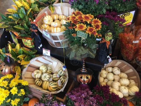 Beautiful squash displays