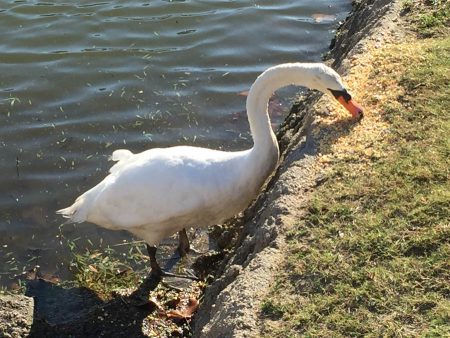 Lilly really enjoyed her afternoon snack