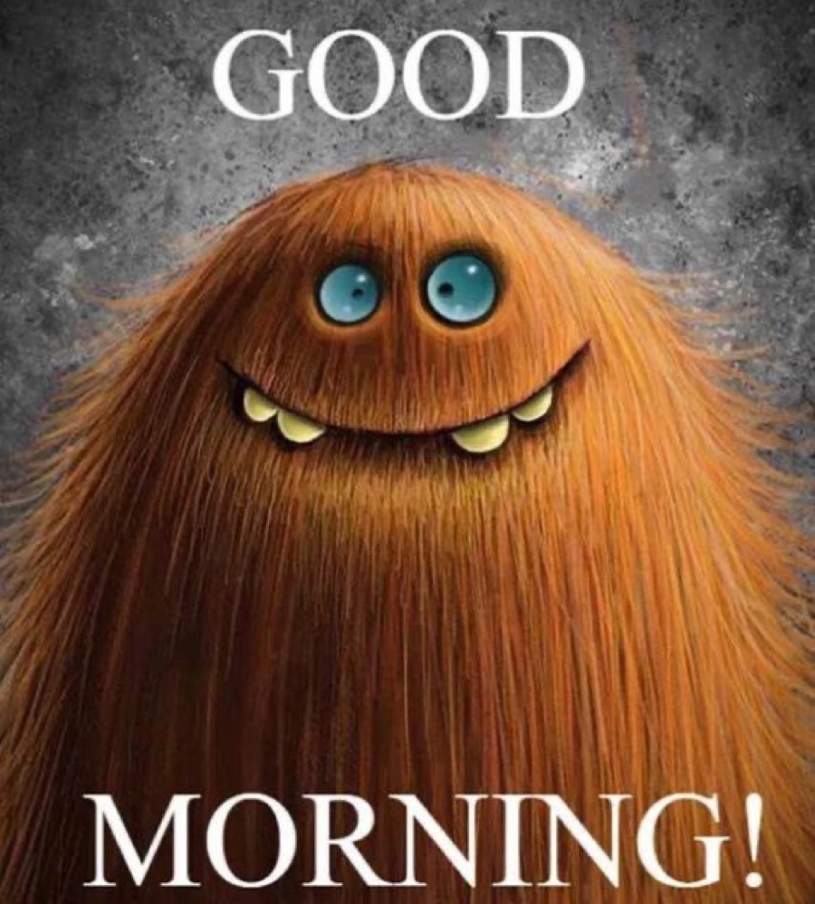  GM