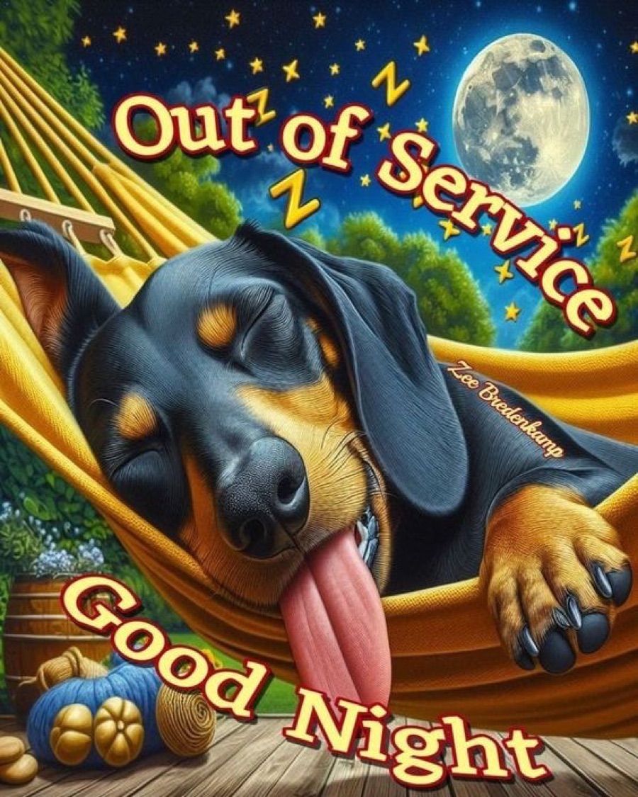  GM
