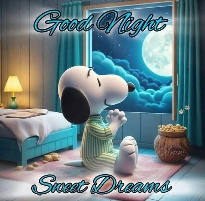  Good Night