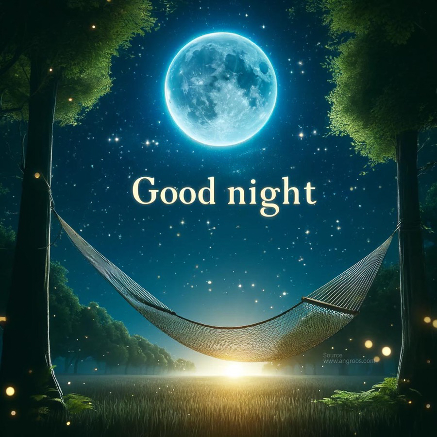  Good Night
