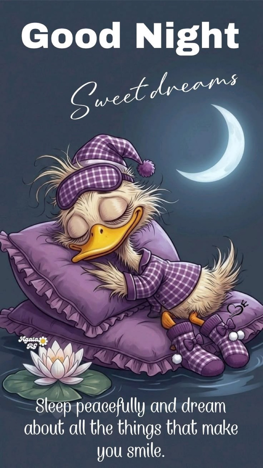  Good Night