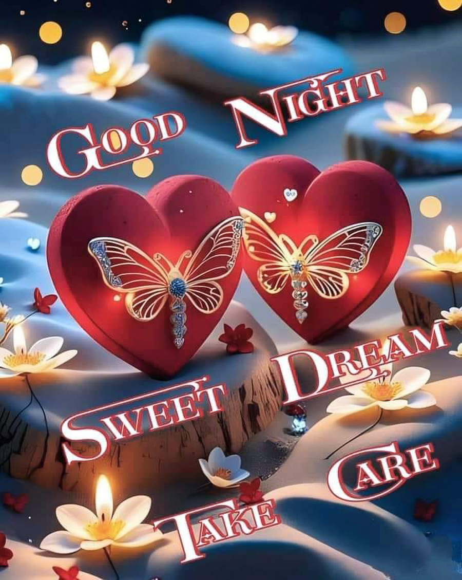  Good Night
