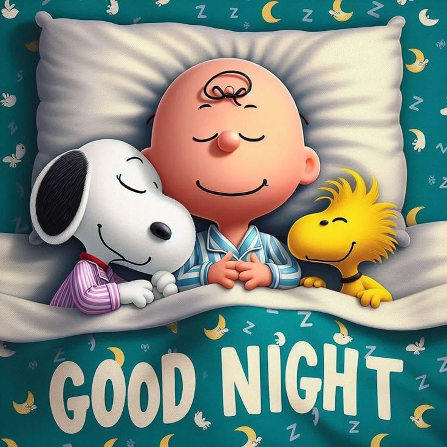  Good Night