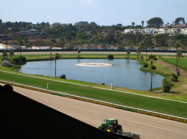 Duck Racecourse
