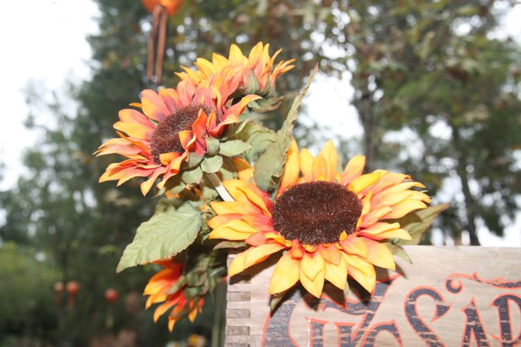 Big Thunder October 2010