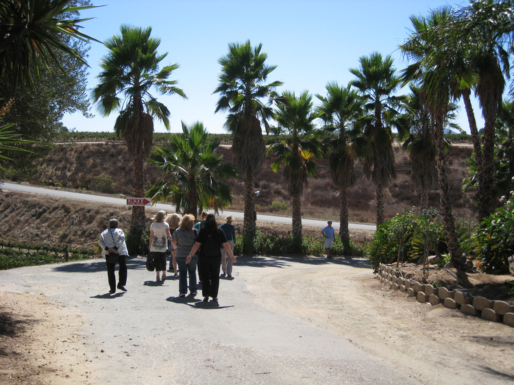 Temecula Wine Bus Tour 2009