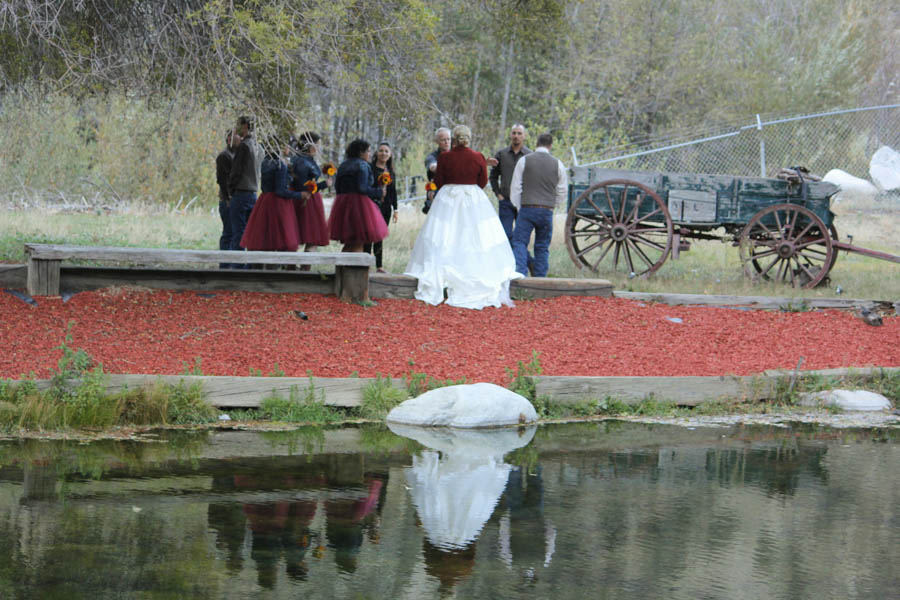 Final preparations and arrival of the guests for the Parsons/Lind wedding