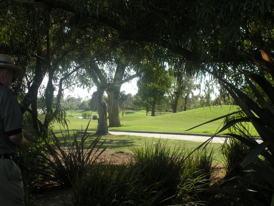 California golf on the Sarah-Cam June 2011