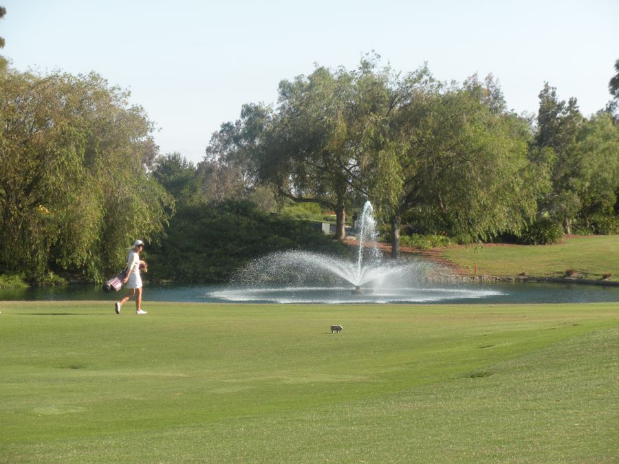 California golf on the Sarah-Cam June 2011