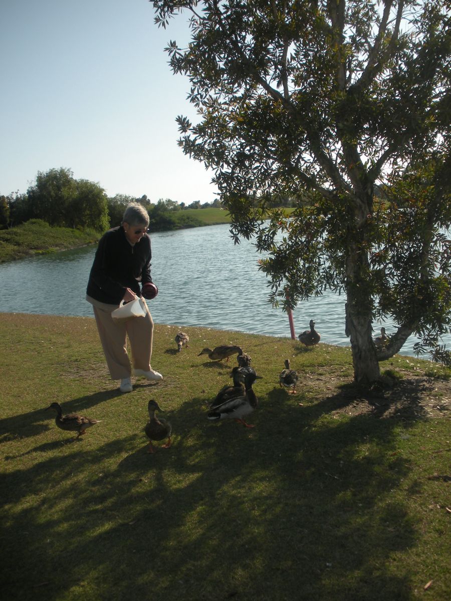 California golf on the Sarah-Cam June 2011