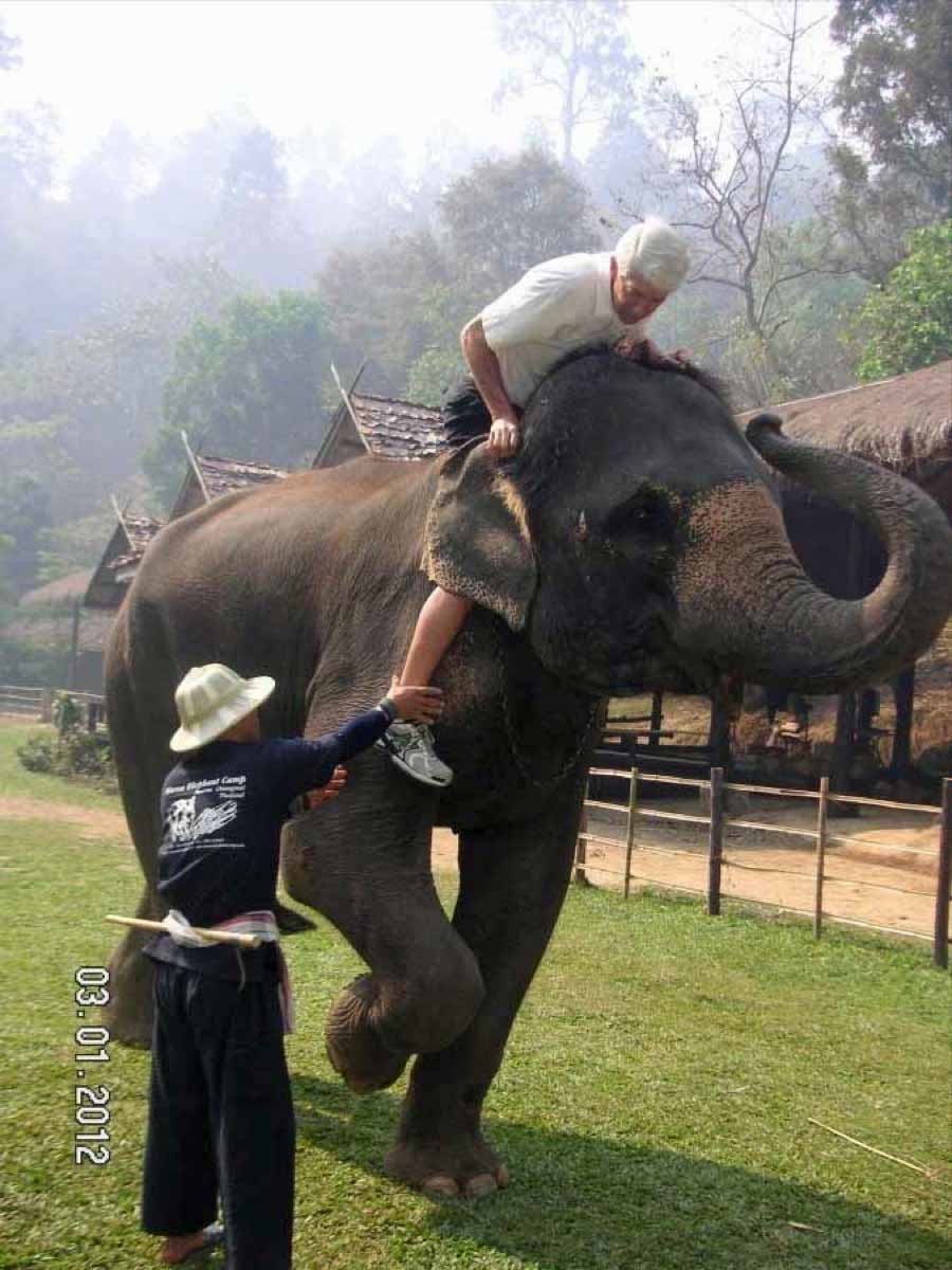 Time to visit the elephants and have a ride