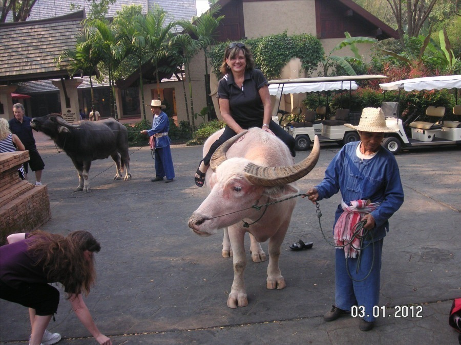 Time to visit the elephants and have a ride