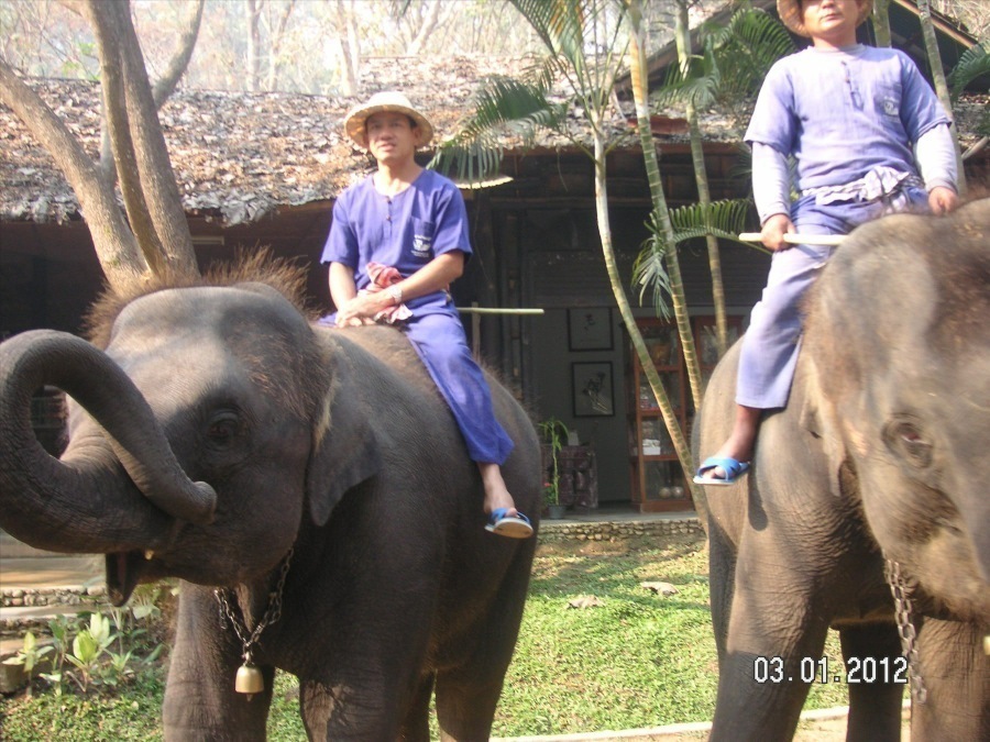 Time to visit the elephants and have a ride