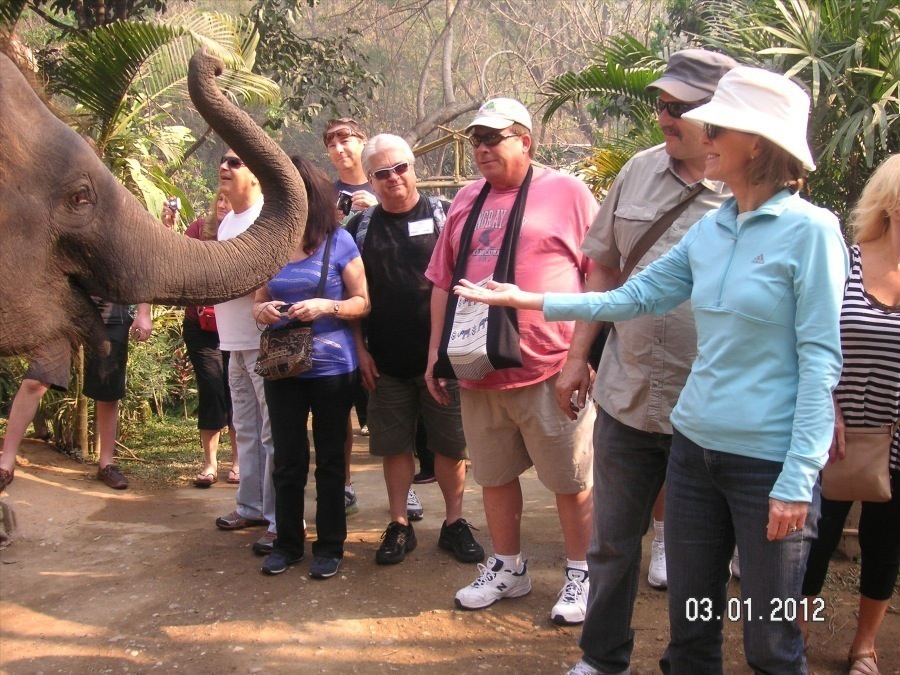 Time to visit the elephants and have a ride